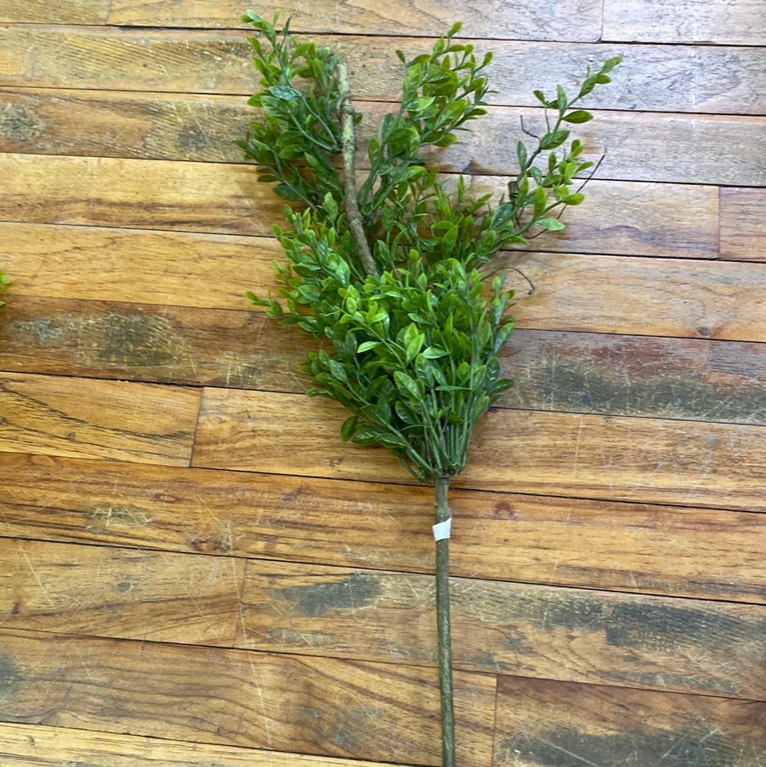 27" BOXWOOD LEAF BUSH