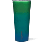 CORKCICLE 24 OZ TUMBLER/CHAMELEON